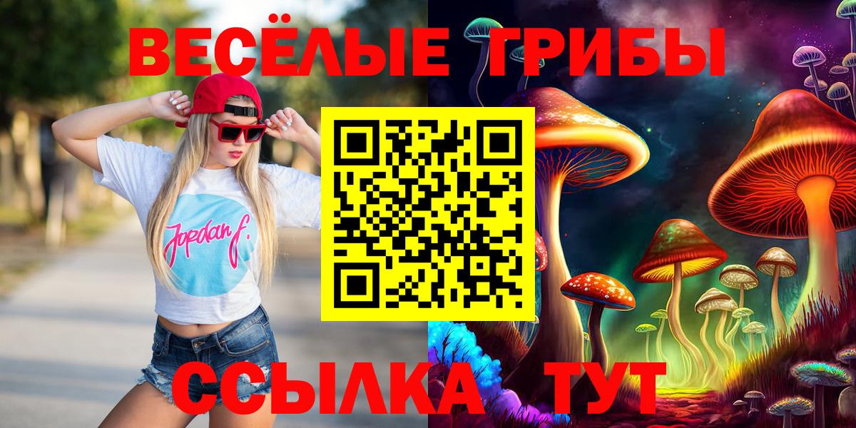 Лесосибирск  Галлюциногенные грибы Magic Shrooms  Галлюциногенные грибы MAGIC MUSHROOMS  Вход с VPN 