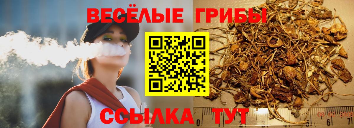 Псилоцибиновые грибы мухоморы Лесосибирск