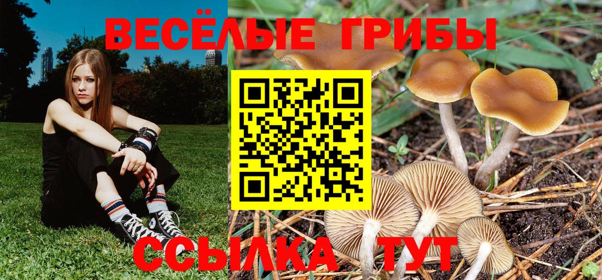 Меф мяу мяу Лесосибирск