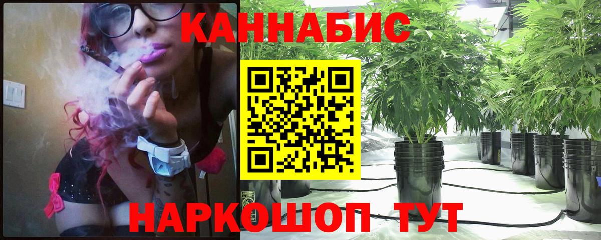 Бошки марихуана ГИДРОПОН  Вход с VPN  Бошки марихуана ГИДРОПОН  Лесосибирск  Марихуана гибрид 